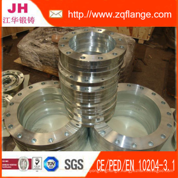 Forged 304/316 Flange/Plat Flange